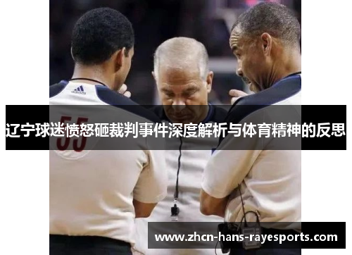 辽宁球迷愤怒砸裁判事件深度解析与体育精神的反思