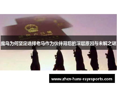 魔鸟为何坚定选择老马作为伙伴背后的深层原因与未解之谜