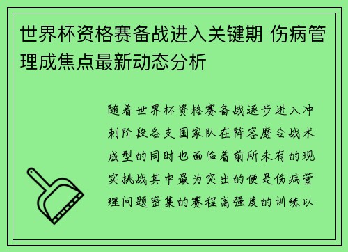世界杯资格赛备战进入关键期 伤病管理成焦点最新动态分析